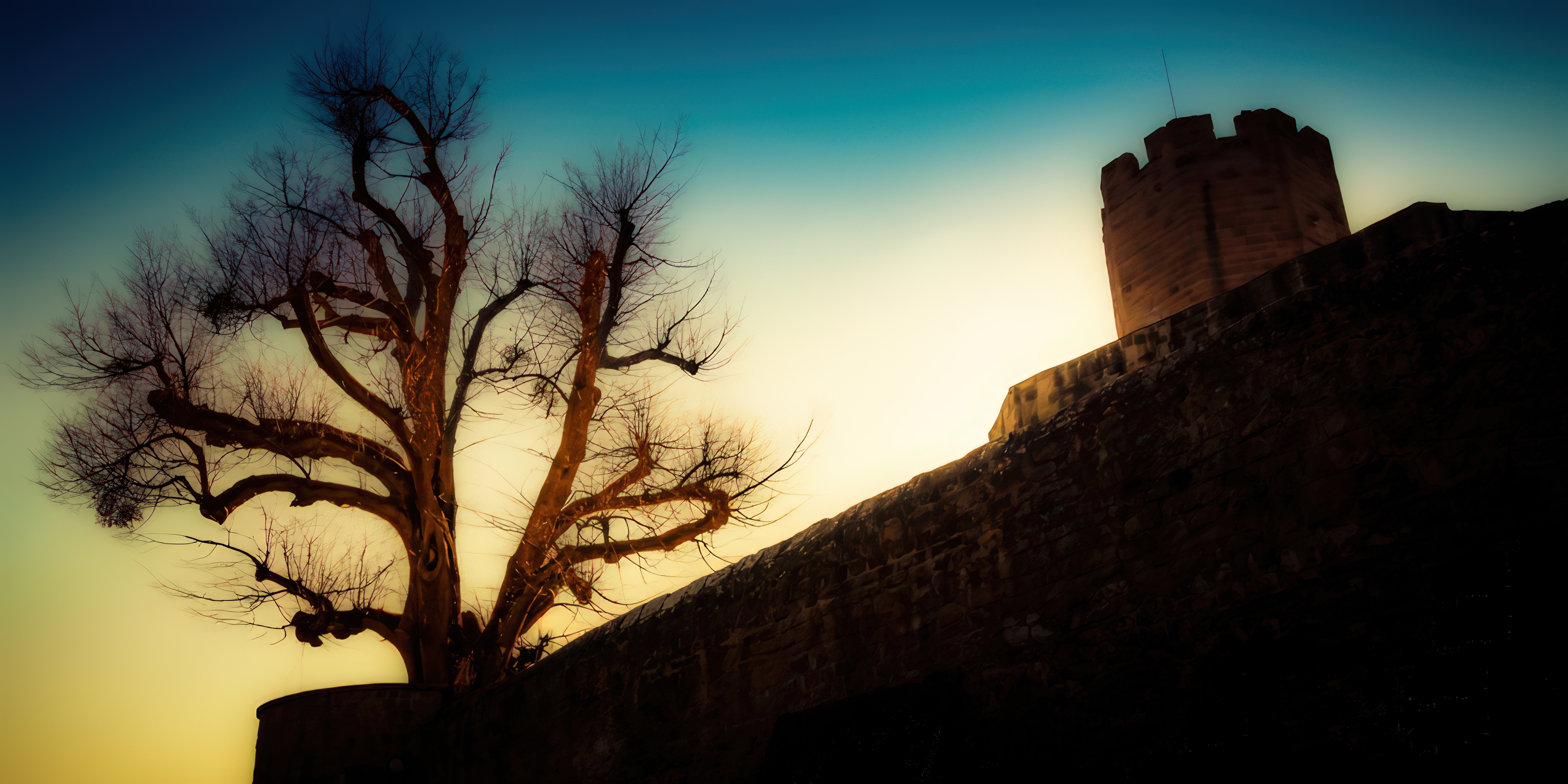 Baum und Burgturm im Abendlicht